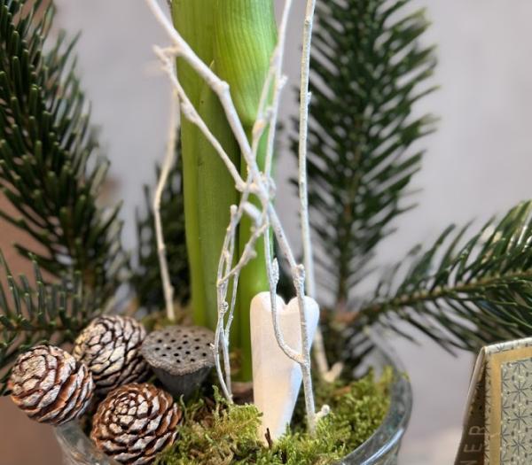 Amaryllisarrangemang