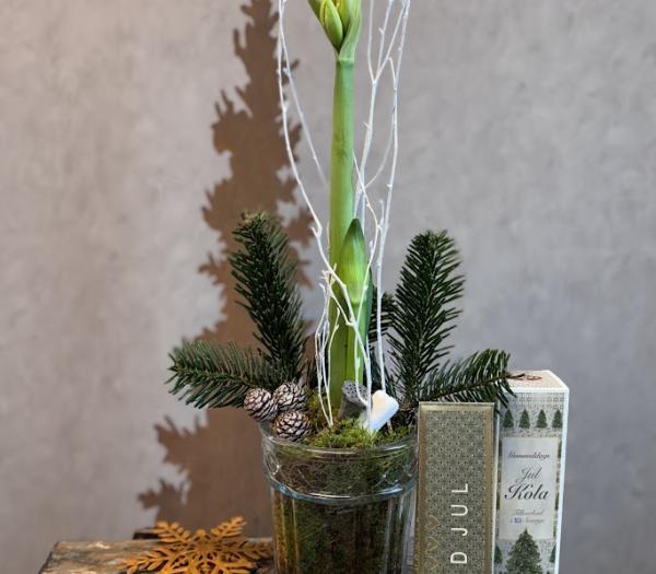 Amaryllisarrangemang