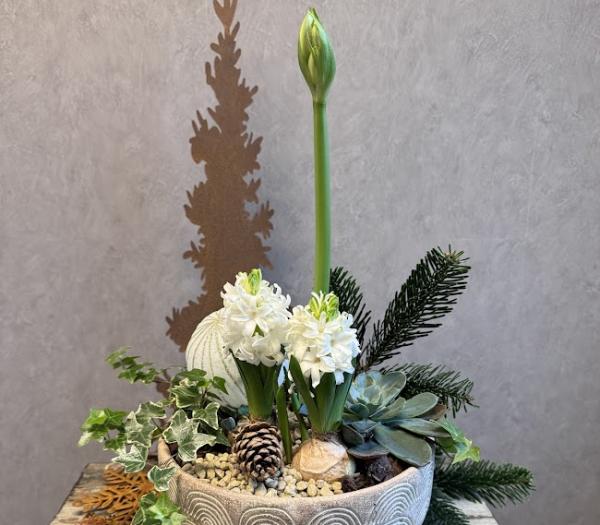 Elegant julplantering i vitt