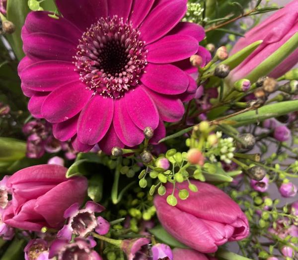 Färgstarka tulpaner