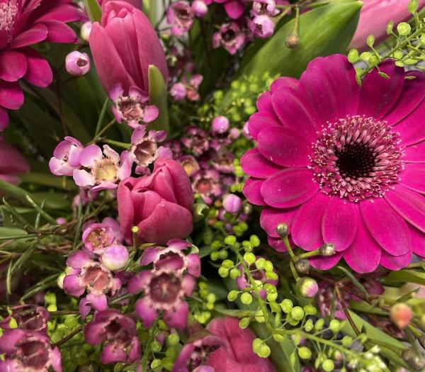 Färgstarka tulpaner