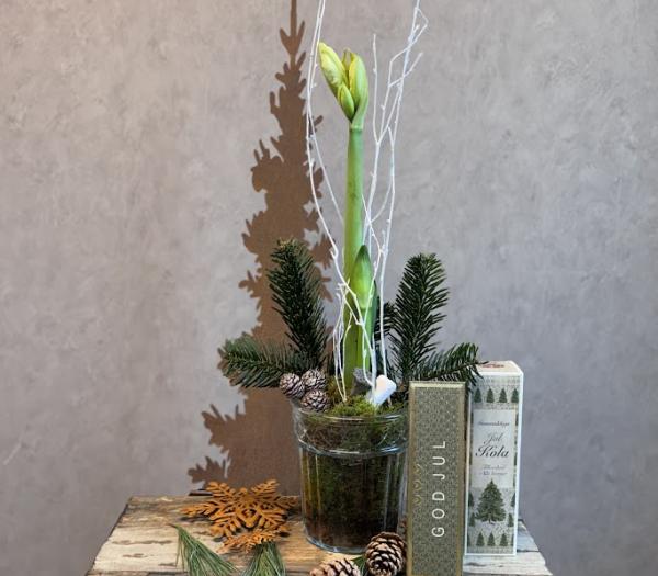 Amaryllisarrangemang