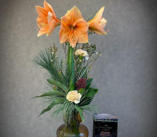 Säsongsbukett med amaryllis