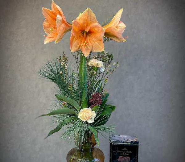 Säsongsbukett med amaryllis