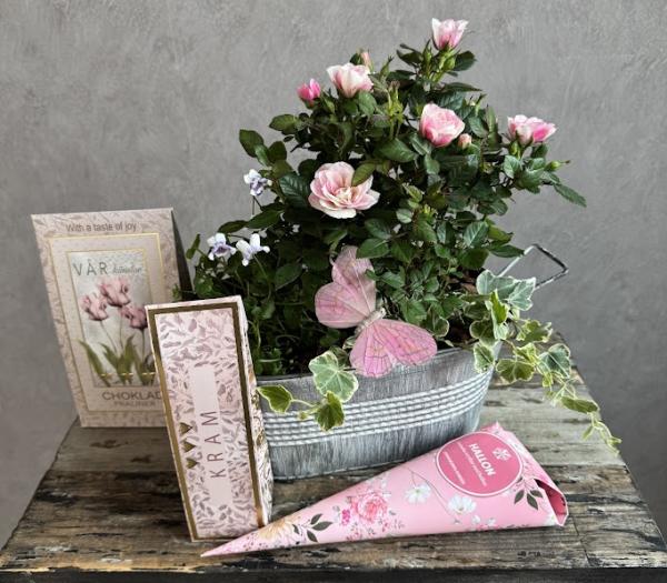 Rosa ros arrangemang