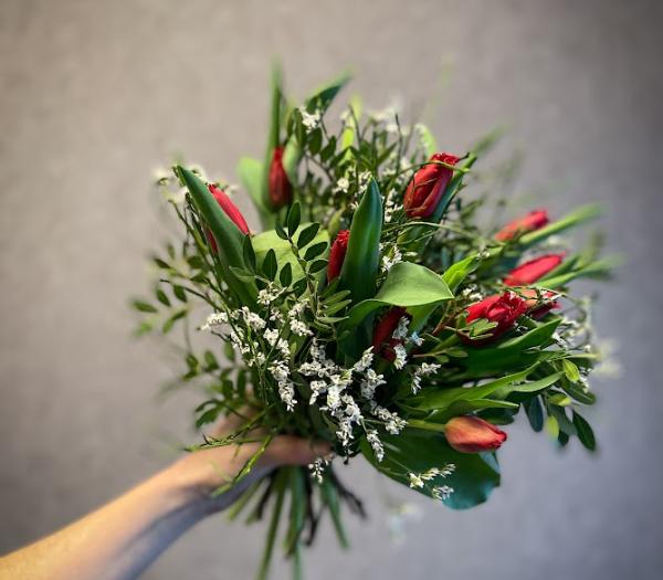 Säsongens röda tulpaner