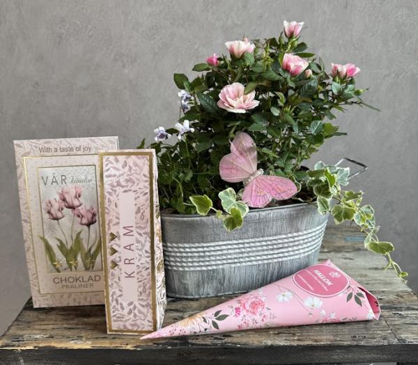 Rosa ros arrangemang