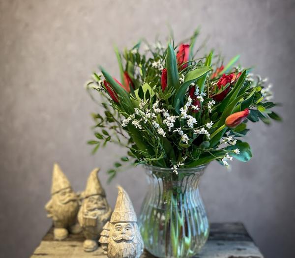 Säsongens röda tulpaner