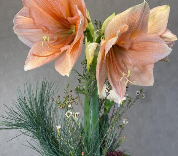 Säsongsbukett med amaryllis