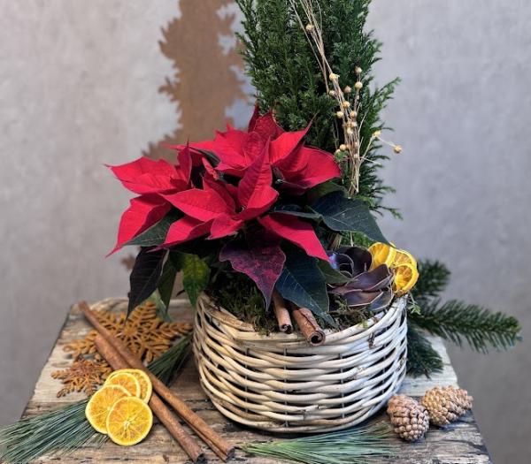 Traditionell julgrupp