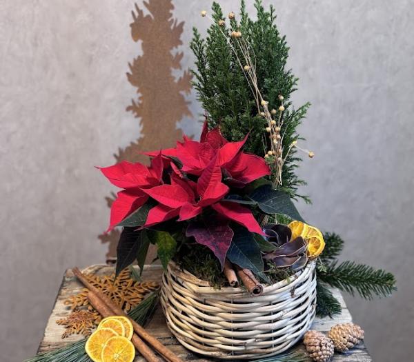 Traditionell julgrupp