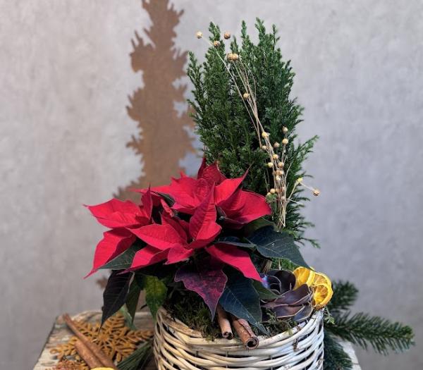 Traditionell julgrupp